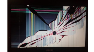 Suwanee, Ga Computer Repair LCD